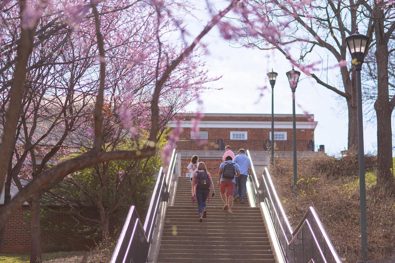 Student walking on Grounds in the spring at UVA